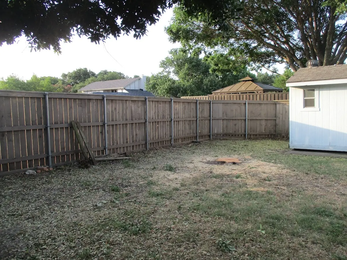 Cleared yard after professional tree removal in Tahoka